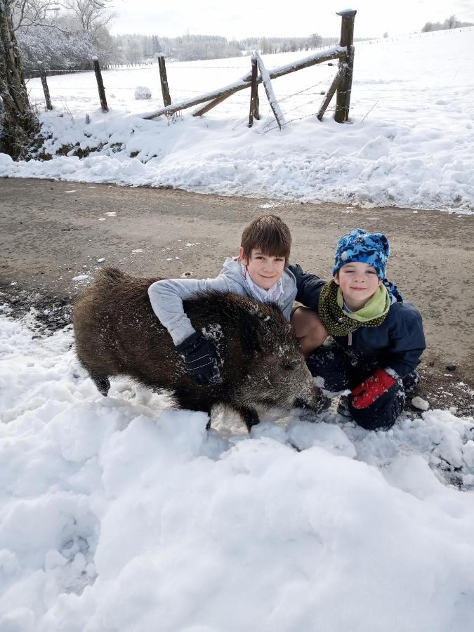 Gite Le Cheval Ardennais Gouvy Exterior foto