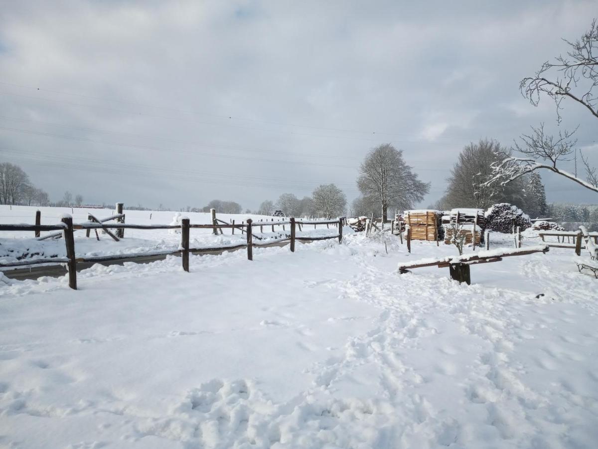 Gite Le Cheval Ardennais Gouvy Exterior foto